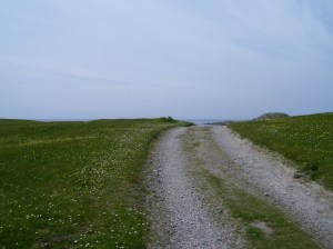 A little road to walk on whilst on a pilgrimage