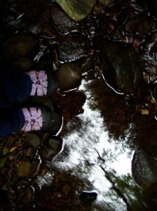My purple-clad toes in a Narnia-esque forest