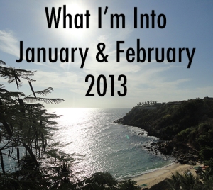 What I'm Into January February 2013