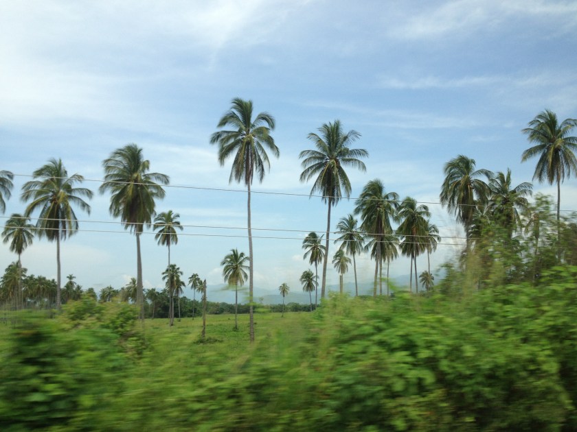 View of the Mountains on the Drive Home from Tututepec