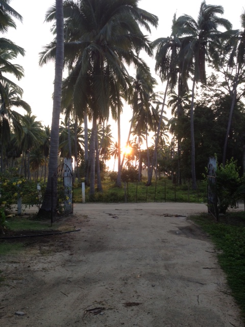 On my Walk to School