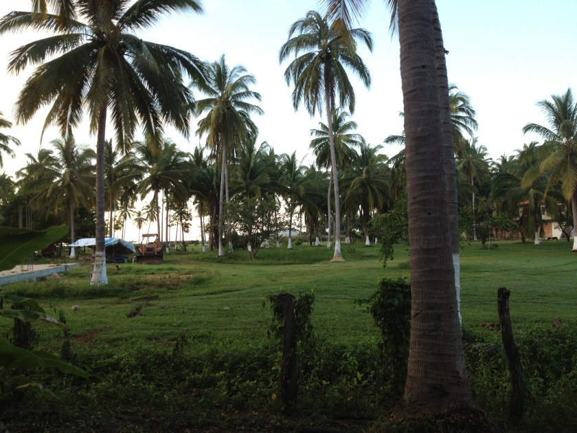 A View on my Walk to School